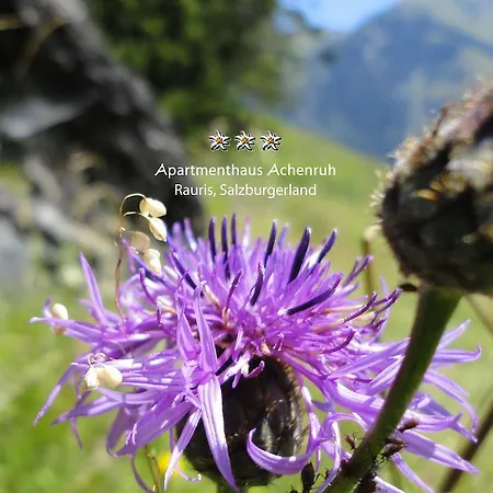 Apartmenthaus Achenruh Rauris